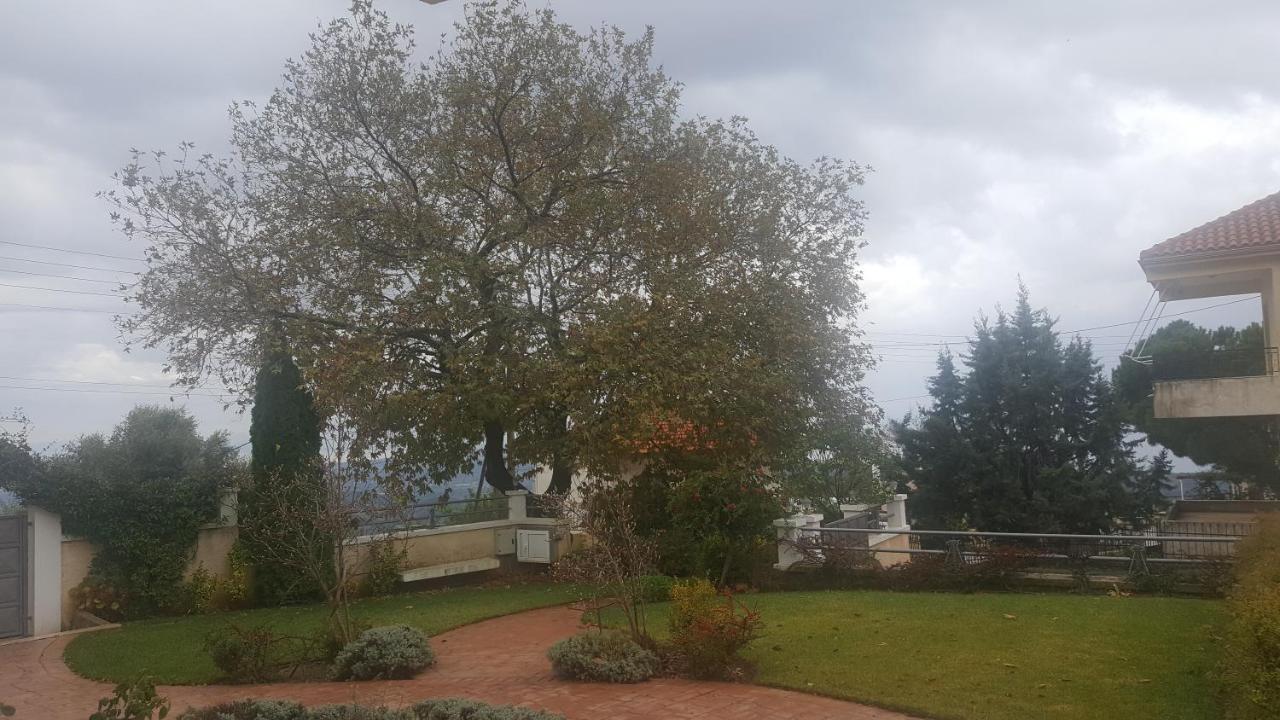 Guesthouse Michobeis Kamarína Zewnętrze zdjęcie