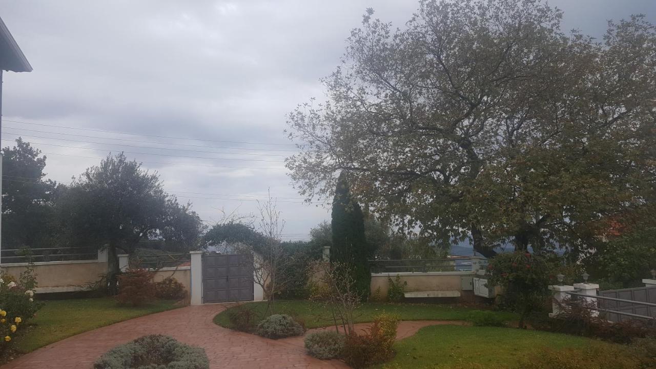 Guesthouse Michobeis Kamarína Zewnętrze zdjęcie