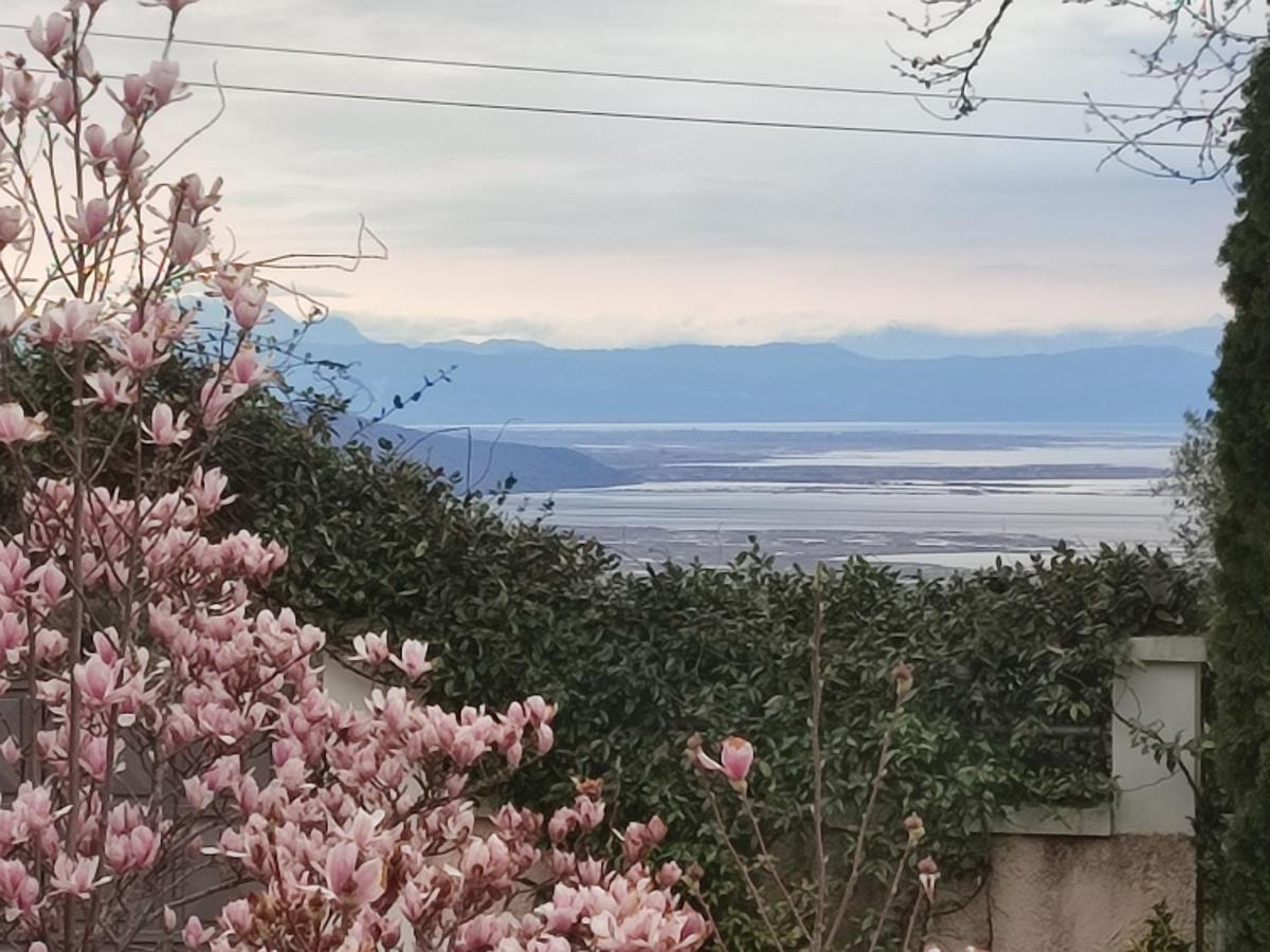 Guesthouse Michobeis Kamarína Zewnętrze zdjęcie