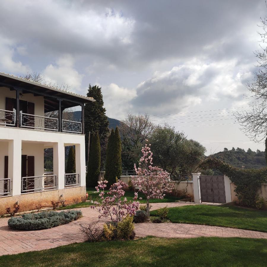 Guesthouse Michobeis Kamarína Zewnętrze zdjęcie