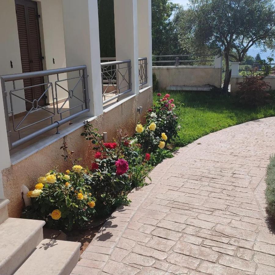 Guesthouse Michobeis Kamarína Zewnętrze zdjęcie