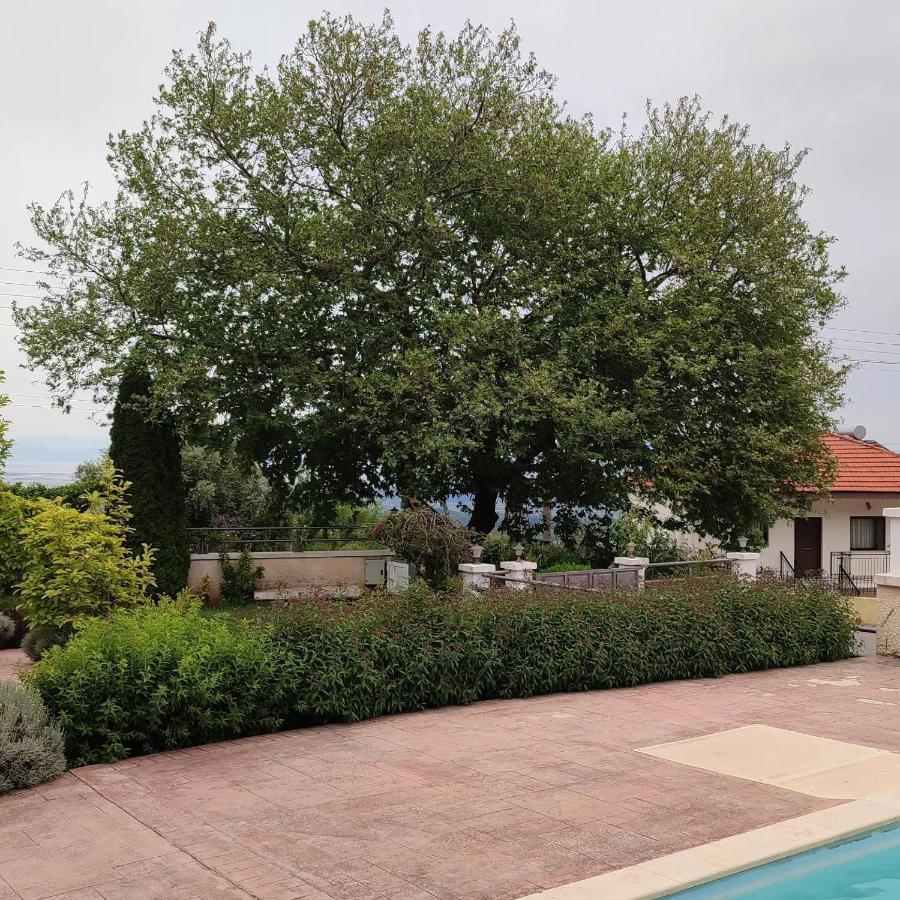 Guesthouse Michobeis Kamarína Zewnętrze zdjęcie