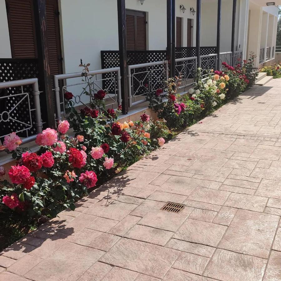 Guesthouse Michobeis Kamarína Zewnętrze zdjęcie