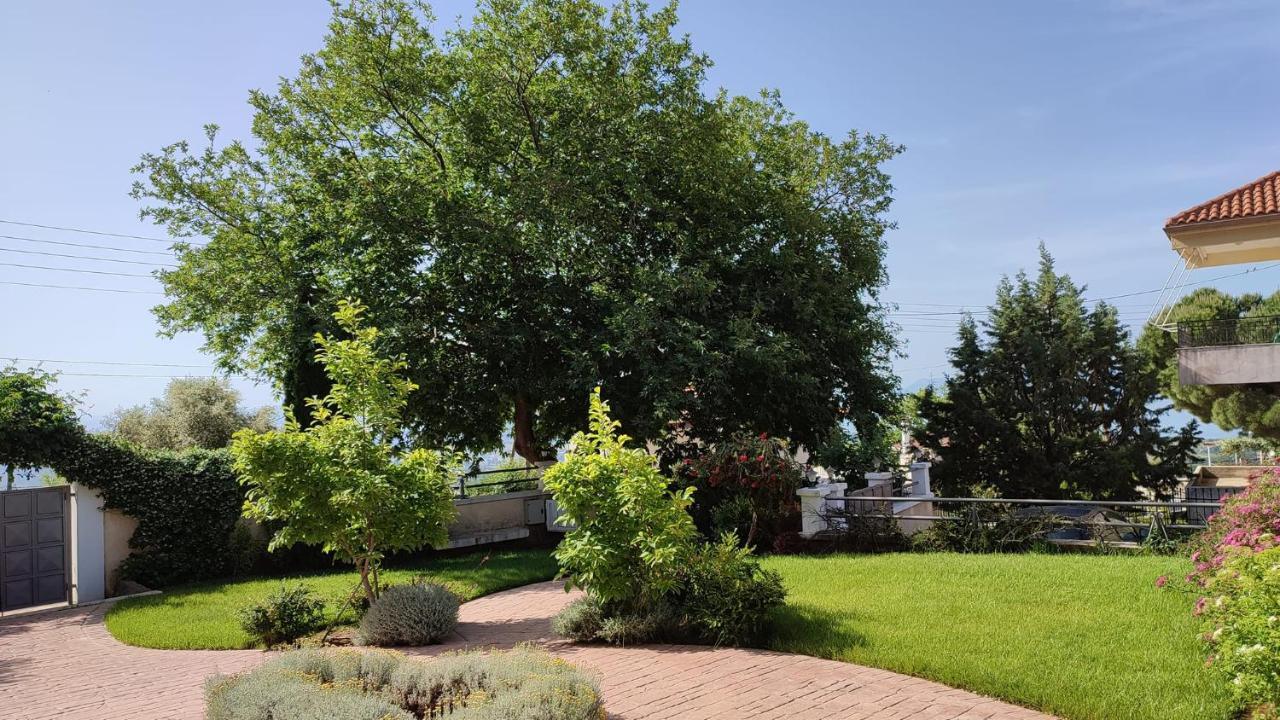 Guesthouse Michobeis Kamarína Zewnętrze zdjęcie